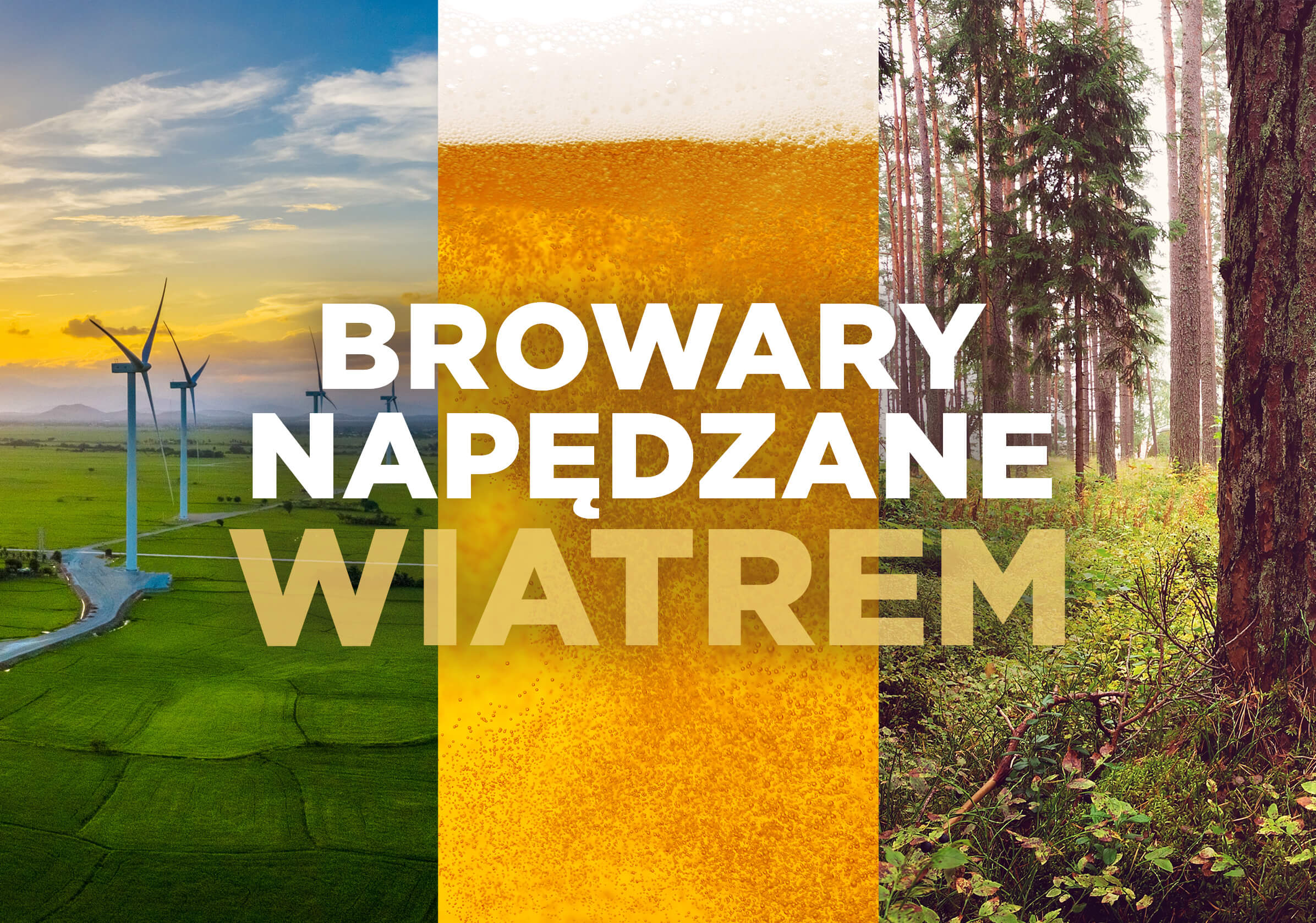 Browary napędzane wiatrem!