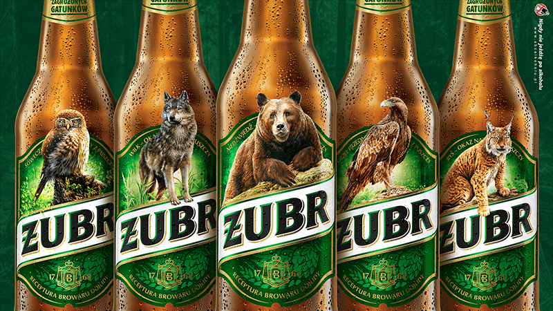 Żubr returns with the mission to safe endangered species