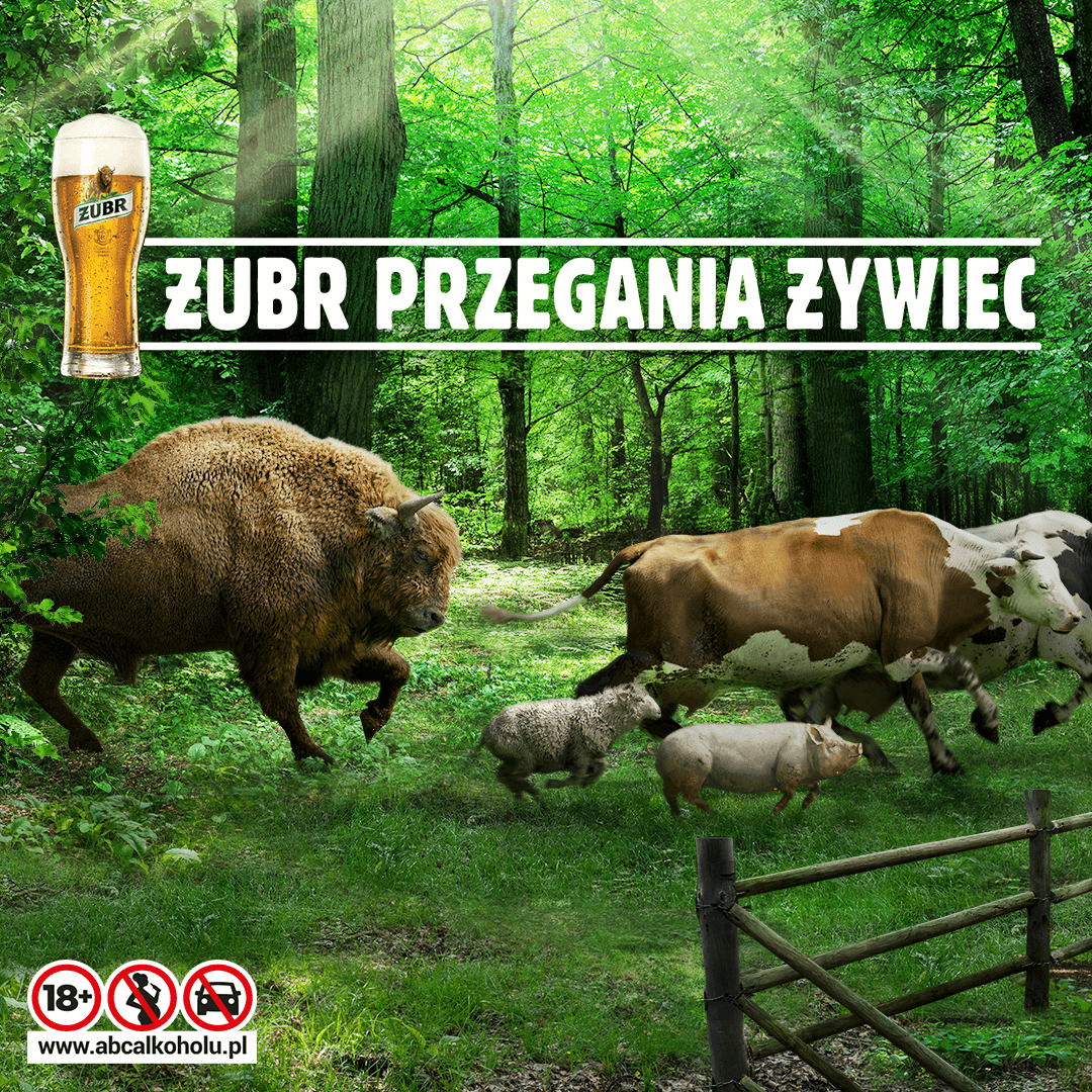 Beer season launched with the “Żubr przegania żywiec” campaign