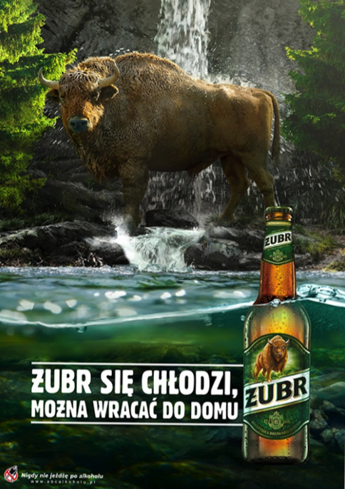 Idzie lato, Żubr się chłodzi.  Ruszyła nowa kampania reklamowa Żubra!
