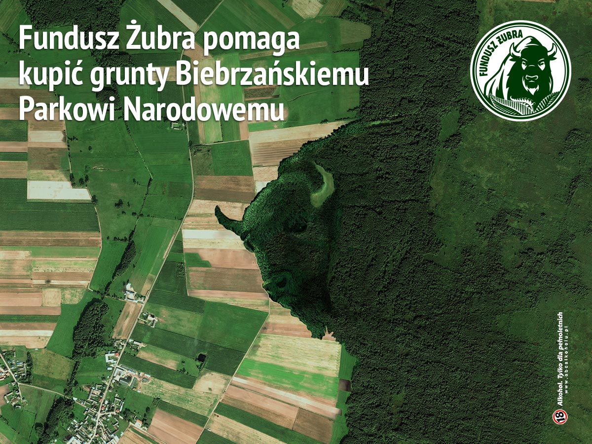 Kompania Piwowarska z jedynym wyróżnieniem ECU Sustainability Award za akcję Funduszu Żubra powołanego przez markę Żubr