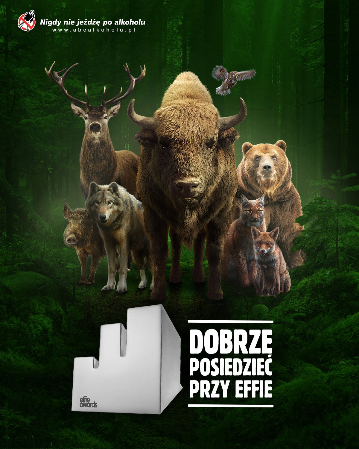 Zagrożone wyginięciem gatunki zwierząt w Polsce trzymają się z Żubrem