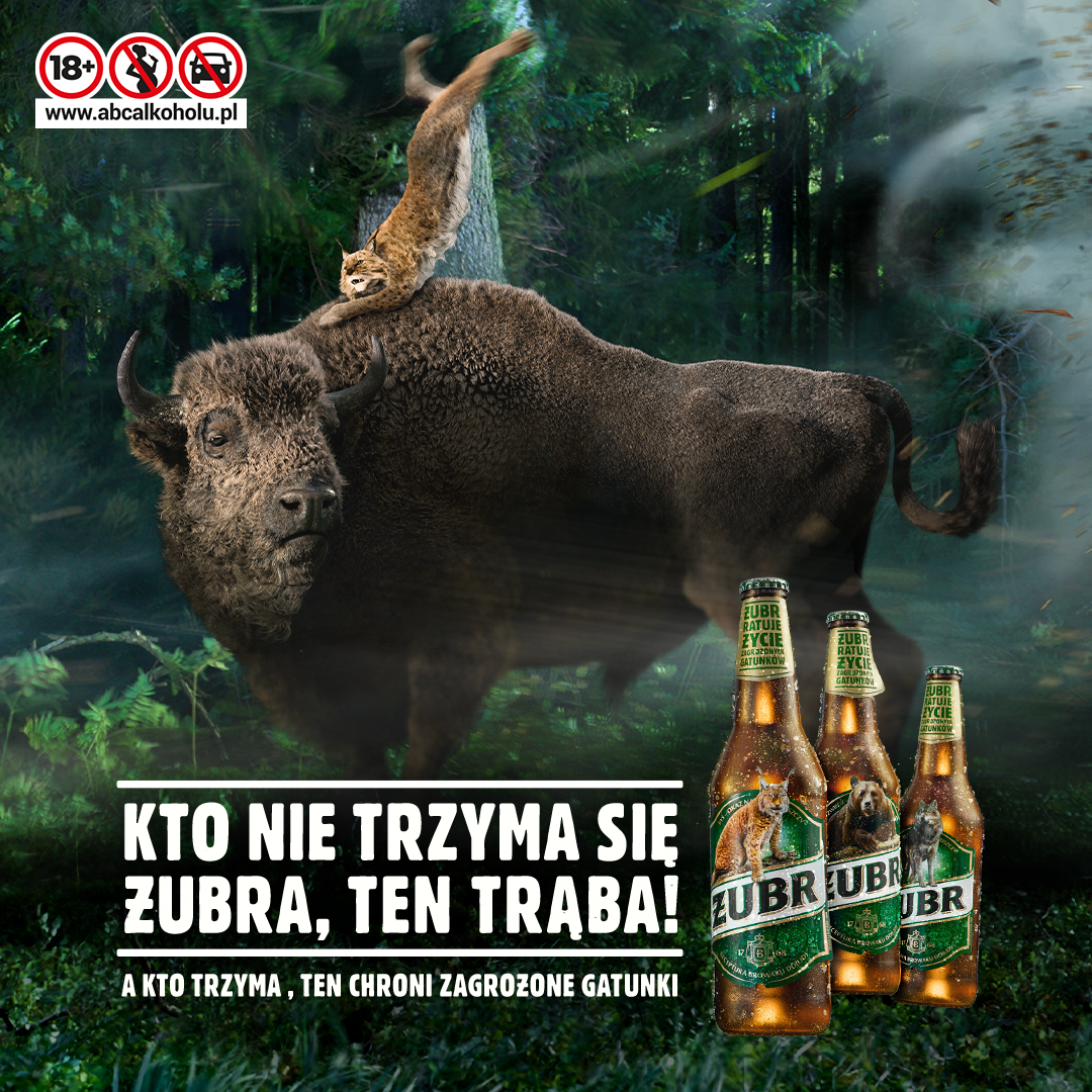 Endangered animal species continue to stick together with Żubr