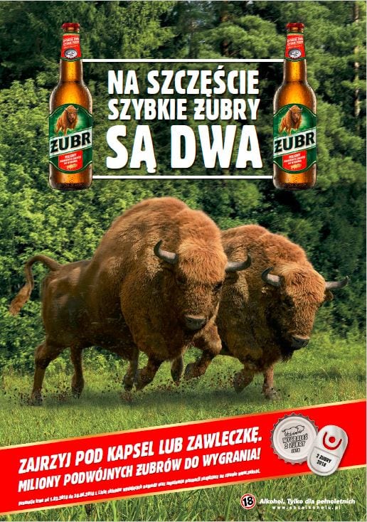 Dwa Szybkie Żubry już są!