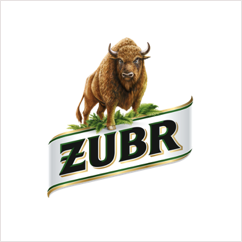 Żubr